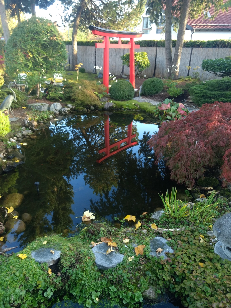 Myojin Torii spiegelt sich im Wasser