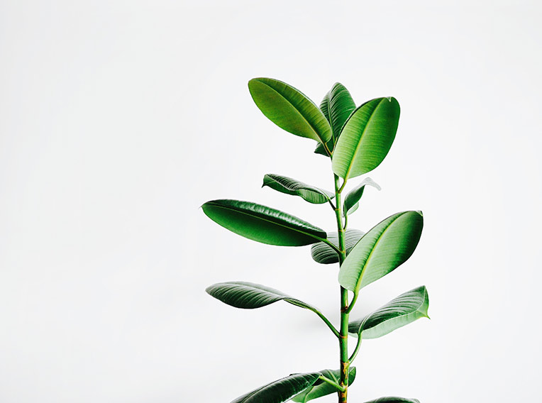 Corporate Creative Landing 2