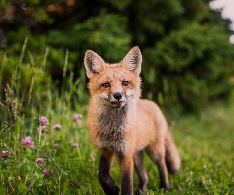 10 Tips for what to do downtown 5