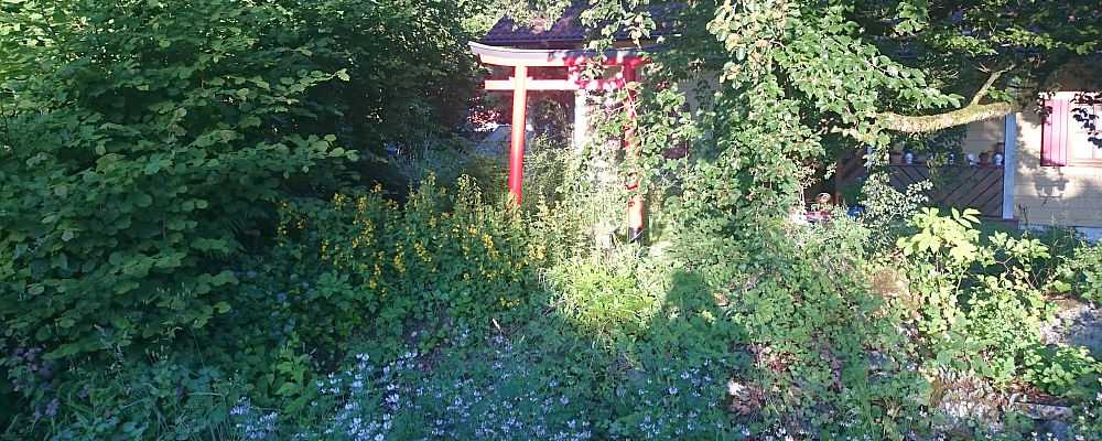 Torii-Werkstatt - Die Seele des Baumes 3